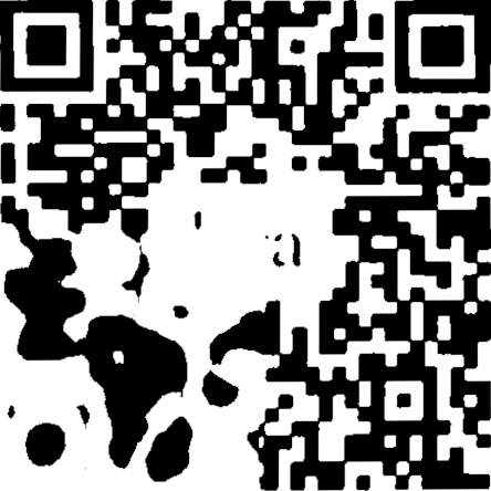 QR code after resizing and fixing the perspective